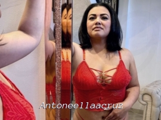 Antoneellaacruz