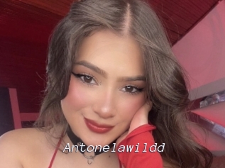 Antonelawildd