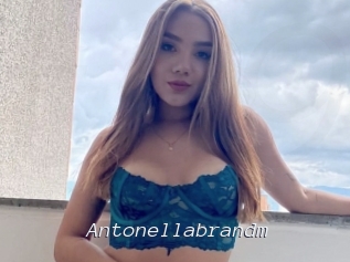 Antonellabrandm