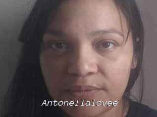 Antonellalovee