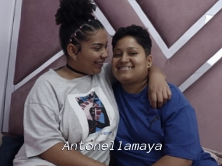 Antonellamaya