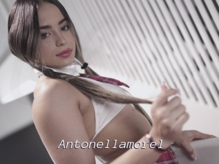 Antonellamorel