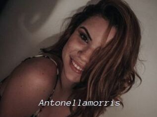 Antonellamorris
