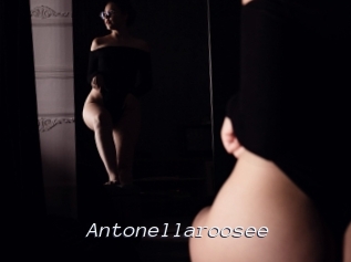 Antonellaroosee