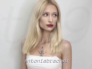 Antoniabracher