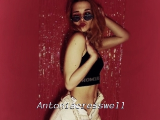 antoniacresswell Tel 69 Salopes