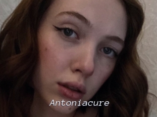 Antoniacure