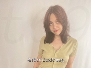 Antoniadowey