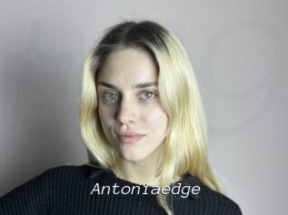 Antoniaedge
