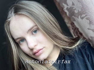 antoniafairfax Tel 69 Salopes