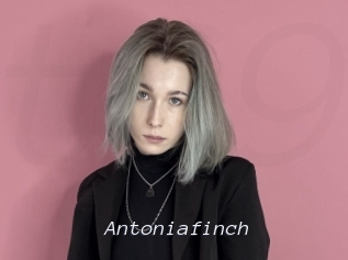 Antoniafinch