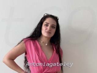 Antoniagateley