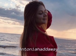 Antoniahaddaway