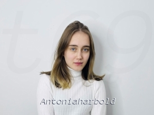 Antoniaharbold