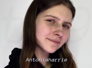 antoniaharrie Tel 69 Salopes
