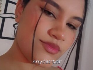 Anycarter