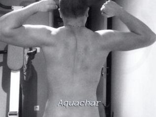 Aquachar