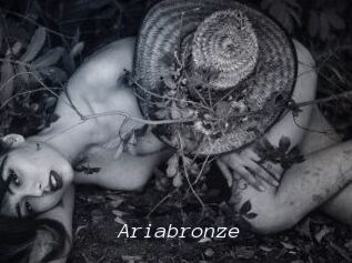 Ariabronze