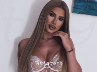 Ariacara