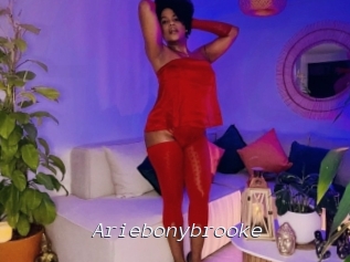 ariebonybrooke Tel 69 Salopes