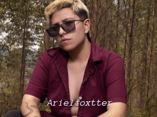 Arielfoxtter