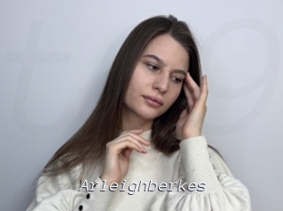 Arleighberkes