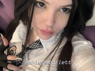 ashleyscarlett Tel 69 Salopes