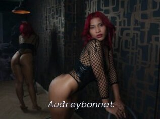 Audreybonnet