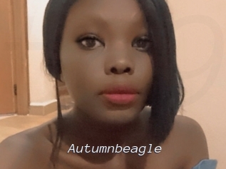 autumnbeagle Tel 69 Salopes