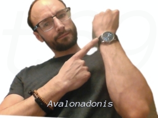 Avalonadonis