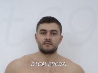 BIGALFREDXL