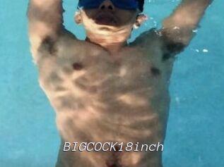 BIGCOCK18inch