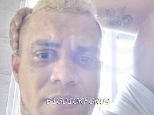 BIGDICKFORU4