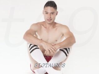 BIGTAURUS