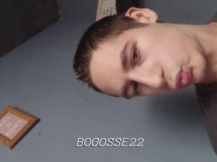 BOGOSSE22 Tel 69 Salopes