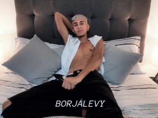 BORJALEVY