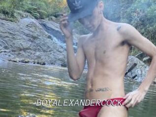 BOYALEXANDERCOCK