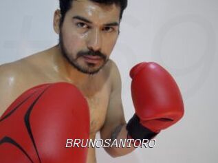 BRUNOSANTORO