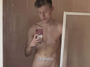 Bammo