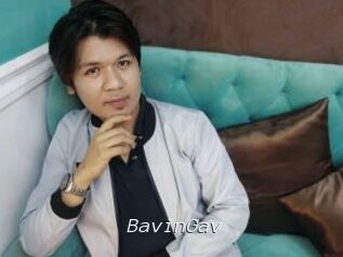 BavinGav