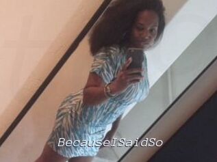 BecauseISaidSo