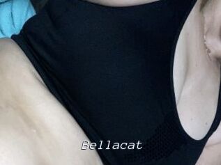 Bella_cat