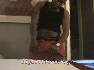 BigLittlePackage