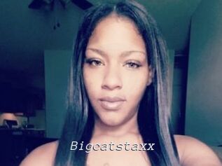 Bigcatstaxx