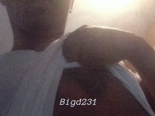 Bigd231
