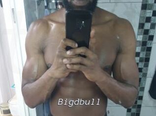 Bigdbull