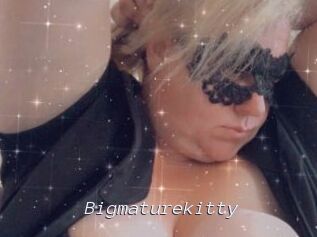 Bigmaturekitty