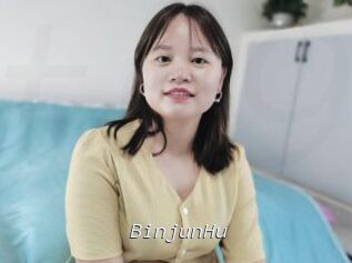 BinjunHu
