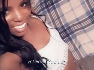 Black_Harley