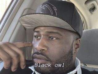 Black_owl